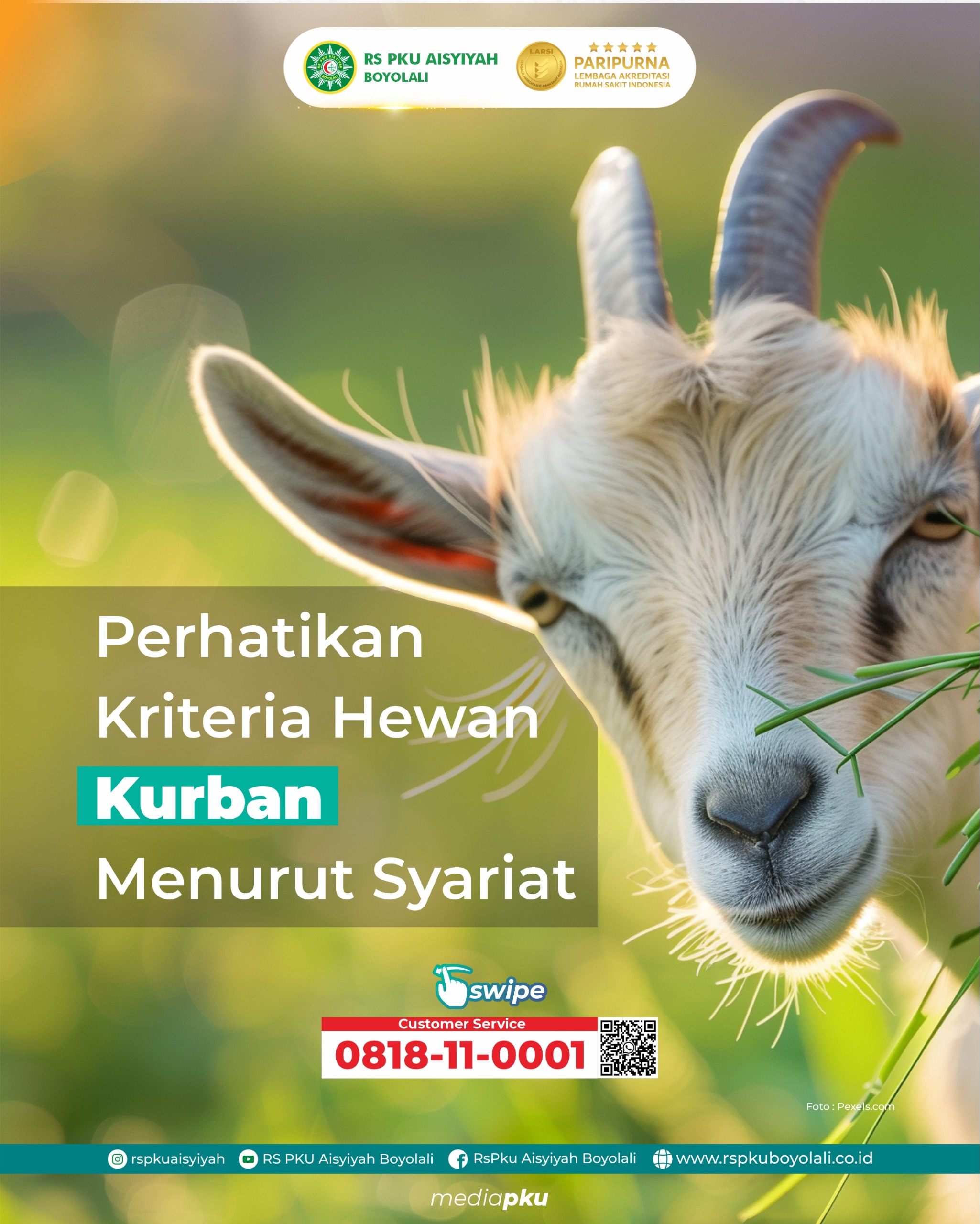 Pastikan Hewan Kurban Sesuai Syariat!